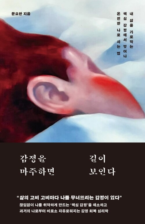 감정을 마주하면 길이 보인다 - 내 삶을 가로막는 핵심 감정에서 벗어나 온전한 나로 사는 법