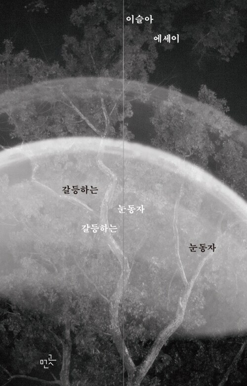 갈등하는 눈동자 - 양장