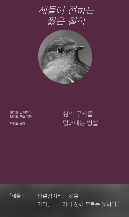 새들이 전하는 짧은 철학 - 삶의 무게를 덜어내는 방법