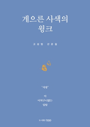 게으른 사색의 윙크